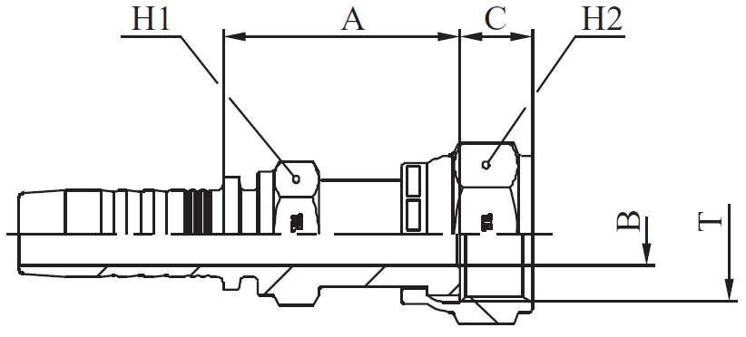 HEMBRA ORFS M22411